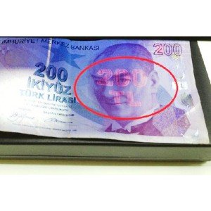 Electric Money Control Device