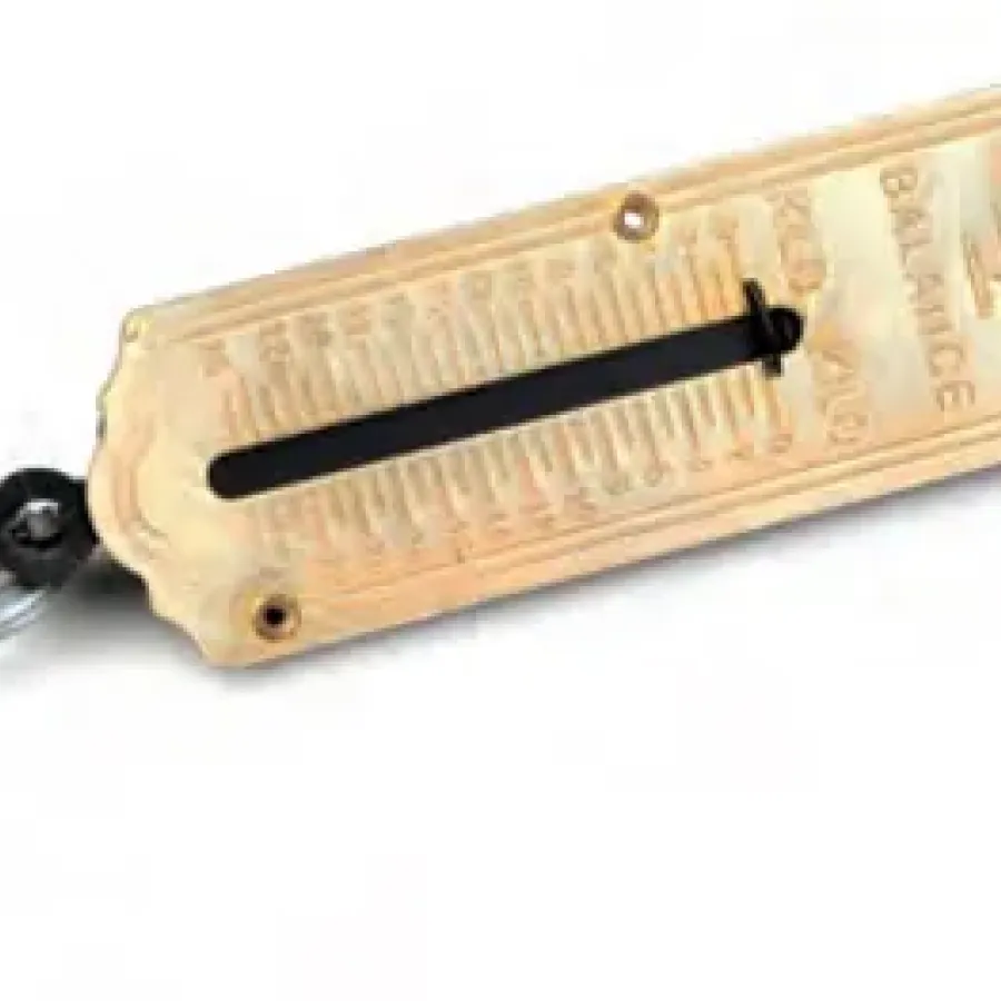 Eltos Hand Scale 12.5 kg