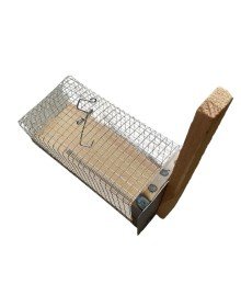 Mouse Trap Cage Type