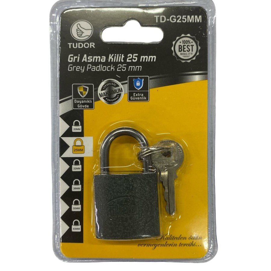 Tudor 25 mm Short Gray Padlock