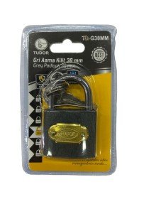 Tudor 38 mm Short Gray Padlock
