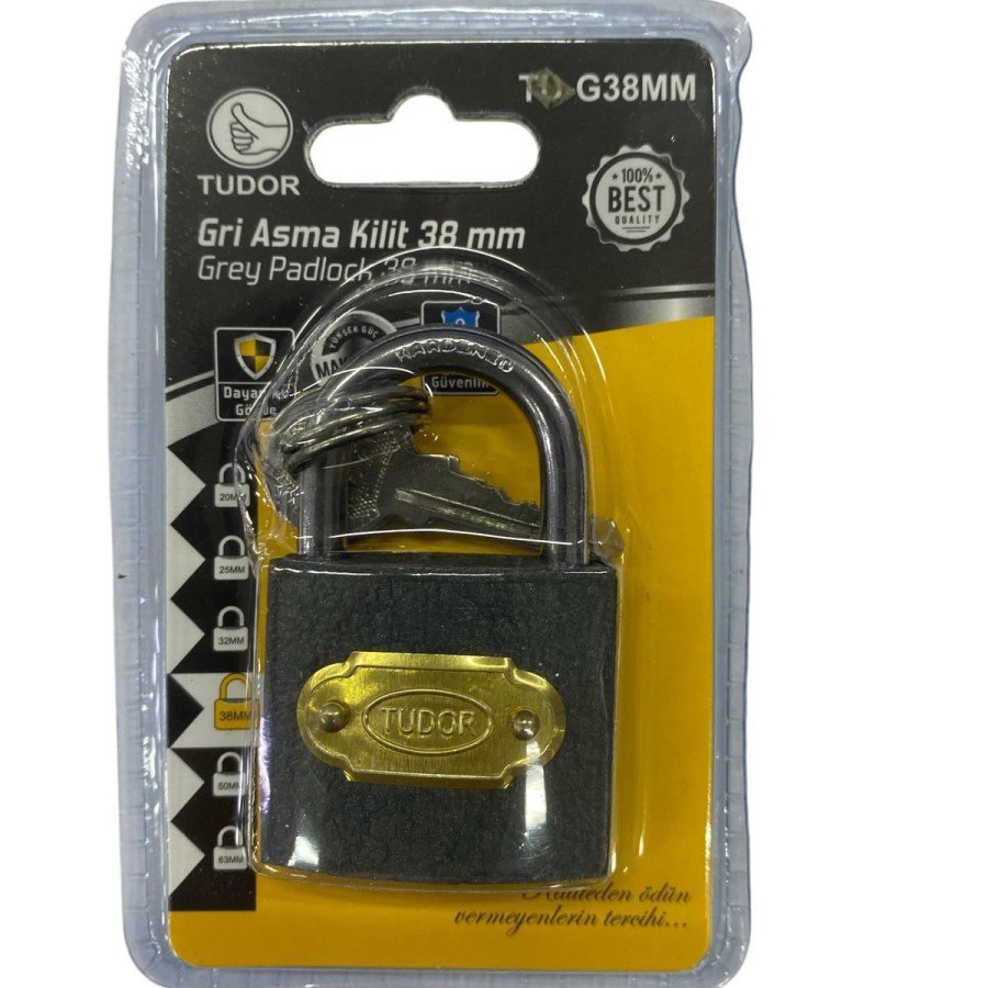 Tudor 38 mm Short Gray Padlock