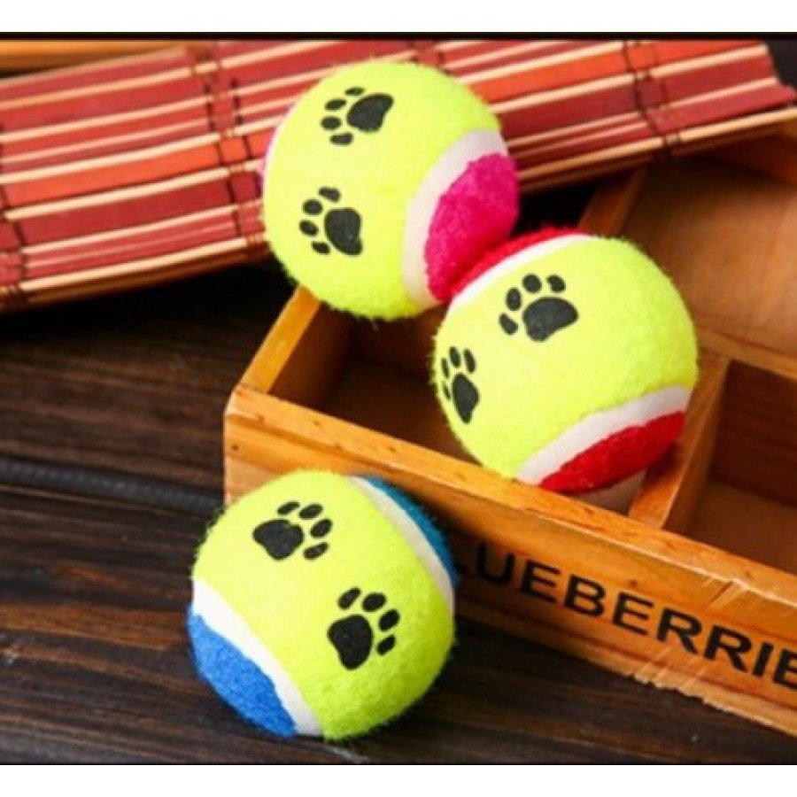 At Getir Dog Training Ball