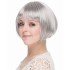 Gray Silver Color Straight Cut Lined Blunt Party Wig