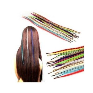Hair Feather Hair Feather - Assorti