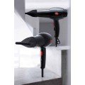 AC Motor Hair Dryer with Cold and Hot Blow Features