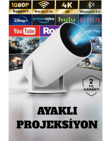 160 ANSI Lumens Wireless Projection with HDMI and Full HD Technology