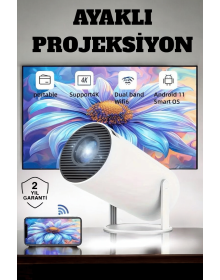 130 Inch Wide Screen and 4K Supported Full HD Projector