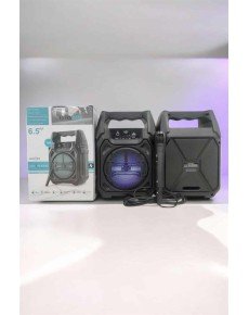 Wireless 6.5 Inch TWS Bluetooth Speaker