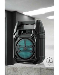 Wireless 6.5 Inch TWS Bluetooth Speaker