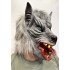 Latex Blue-Eyed Wolf Mask with Tongue Out, Fits Fully on Head