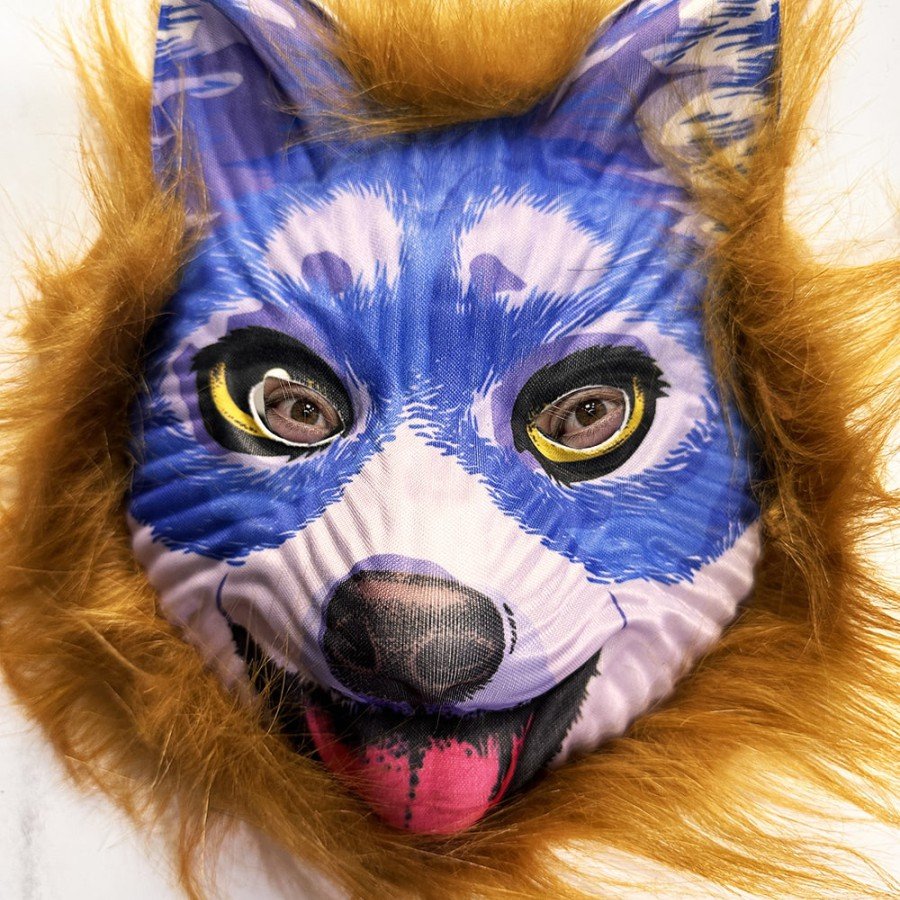 Brown Hair Blue Face Cute Dog Mask 30 No