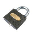 Kale 25 mm Gray Padlock KD-001/10-125