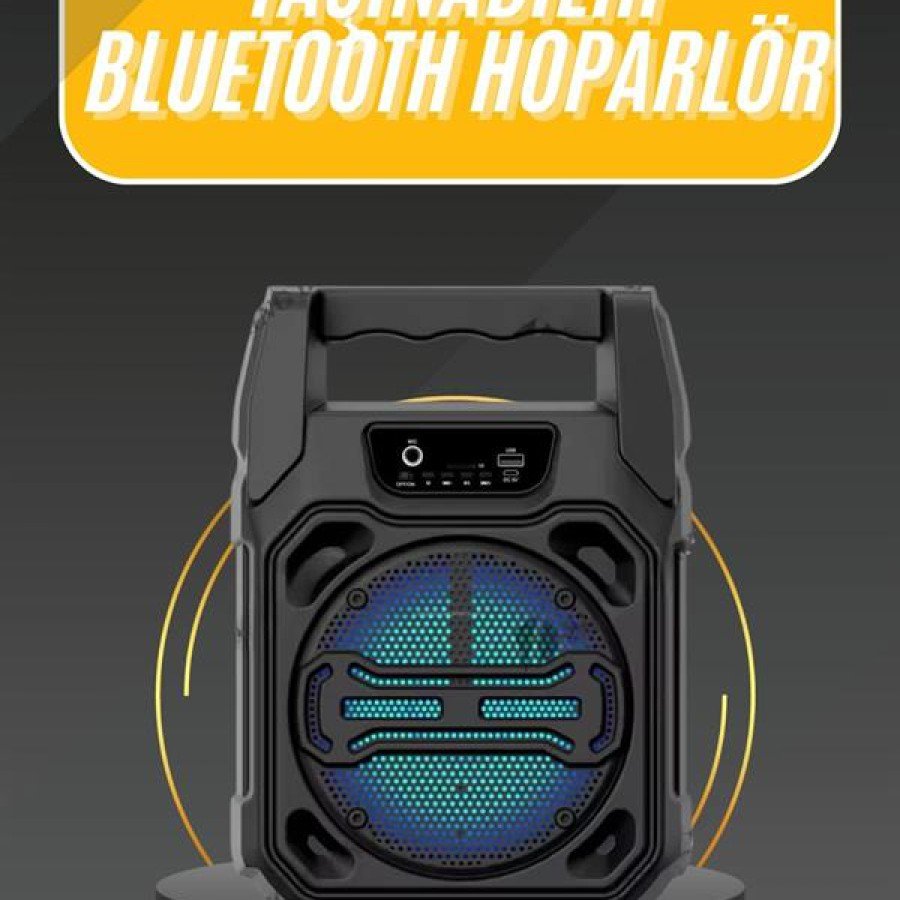 Bluetooth Speaker with Karaoke Microphone and Fm Radio High Sound Quality