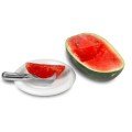Watermelon - Melon Slicing Knife Watermelon - Melon Slicing Knife