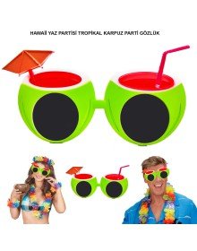 Watermelon Shaped Tropical Hawaii Summer Hello Party Glasses