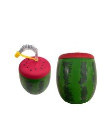 Watermelon Design Drinker with Straw 900 ML