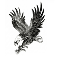 Eagle Temporary Tattoo Template Large Size