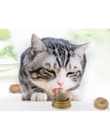 Catnip Play Ball