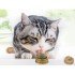 Catnip Play Ball