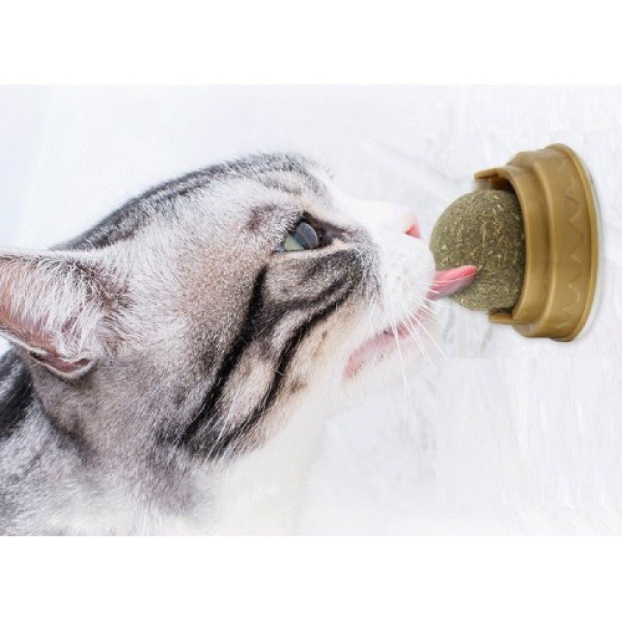 Kedi Nanesi Oyun Topu Kedi Nanesi Oyun Topu
