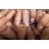 Cut Finger - Joke Finger - Cut Finger Joke 1 Piece