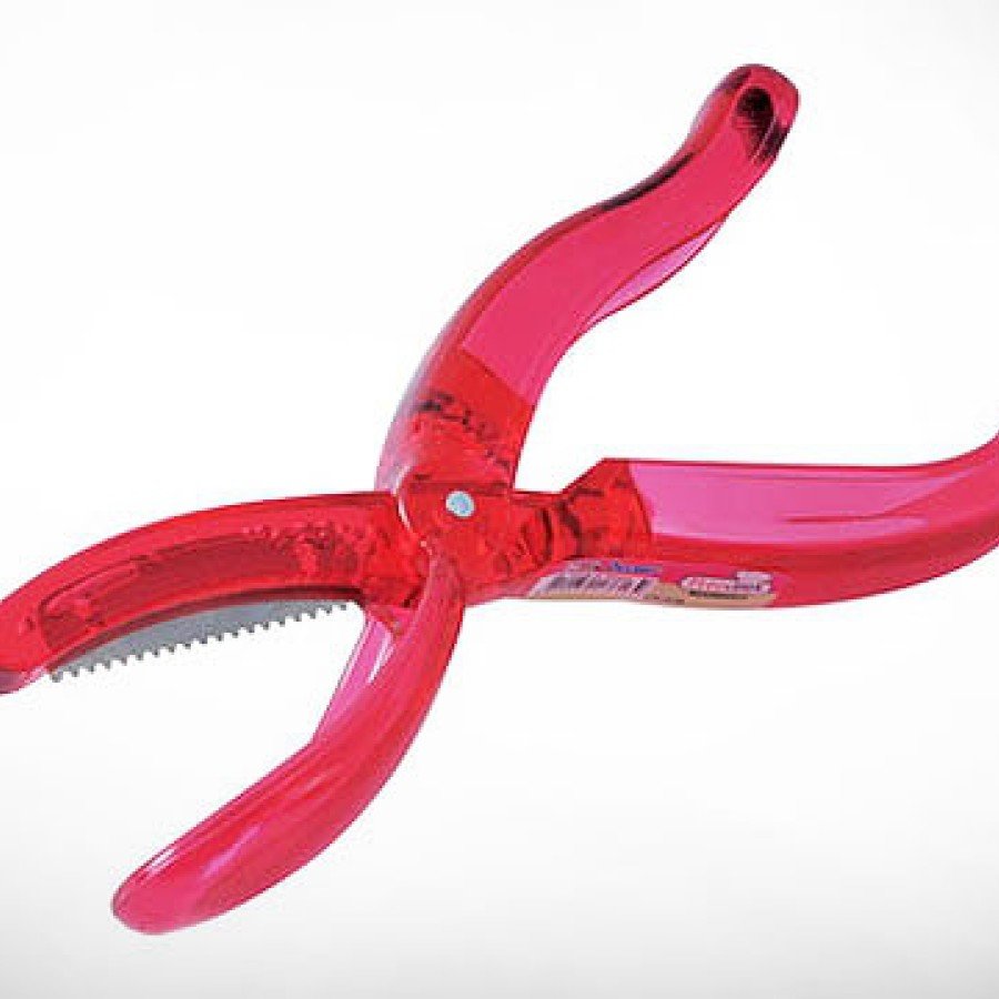 Chestnut Cutter