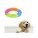 Dog Food & Accessories