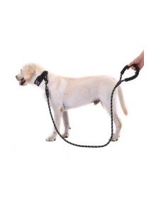 Dog Collar Reflective 130 cm Rope For Medium and Large Size Dogs Black