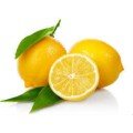 Lemon Bonnet / 250 Pieces / Herbal Tea Bonnet