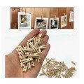 Pegs Mini Wooden Pegs (100 Pieces) Pegs Mini Wooden Pegs (100 Pieces)