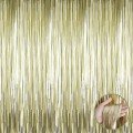 Matte Gold Tassel Door Curtain - Party, Bachelorette Party, Birthday 1x2 m