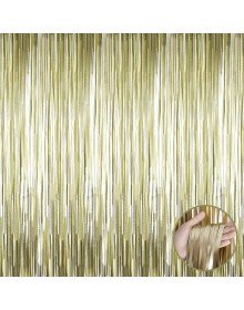 Matte Gold Tassel Door Curtain - Party, Bachelorette Party, Birthday 1x2 m