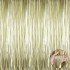 Matte Gold Tassel Door Curtain - Party, Bachelorette Party, Birthday 1x2 m
