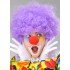 Purple Color Curly Afro Bonus Wig With Fake Hair and Red Nose Set