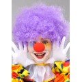 Purple Color Curly Afro Bonus Wig With Fake Hair and Red Nose Set