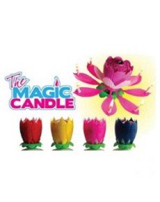 Musical Candle