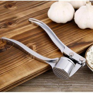 Stainless Steel Garlic Press