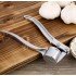 Stainless Steel Garlic Press