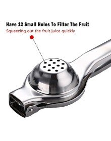 Stainless Steel Garlic Press