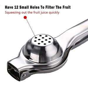Stainless Steel Garlic Press