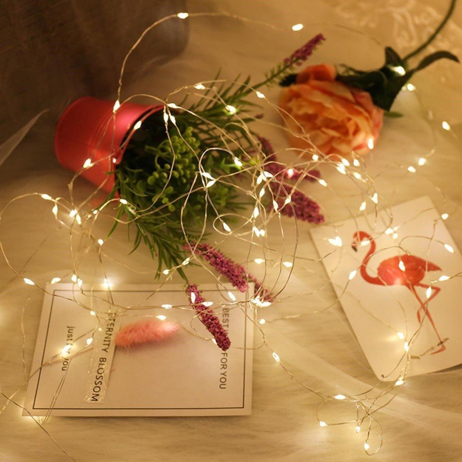 Fairy Led Light 5 meters DAYLIGHT Decoration Lamp with 50 LEDs