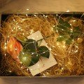 Fairy Led Light 3 meters DAYLIGHT Decoration Lamp with 28 LEDs