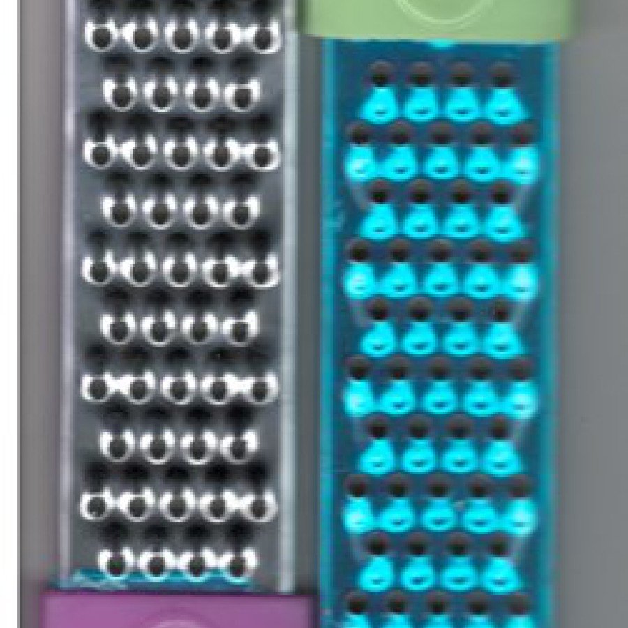 Cheese Grater - Lemon - Orange - Citrus Grate