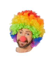 Colorful Rainbow Afro Bonus Wig and Red Sponge Nose 120 gr