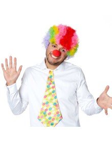 Colorful Curly Afro Bonus Wig and Red Nose Set