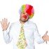 Colorful Curly Afro Bonus Wig and Red Nose Set