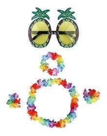 Colorful Pineapple Glasses, Crown, Necklace and Bracelet Set