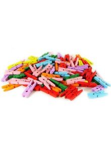 Colorful Mini Wooden Pegs (100 Pieces)