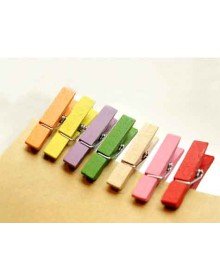 Colorful Mini Wooden Pegs (100 Pieces)